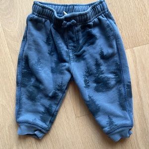 Tea boys sweats with trees. Adorable.